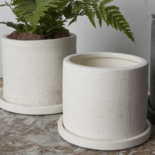 Easton Pot