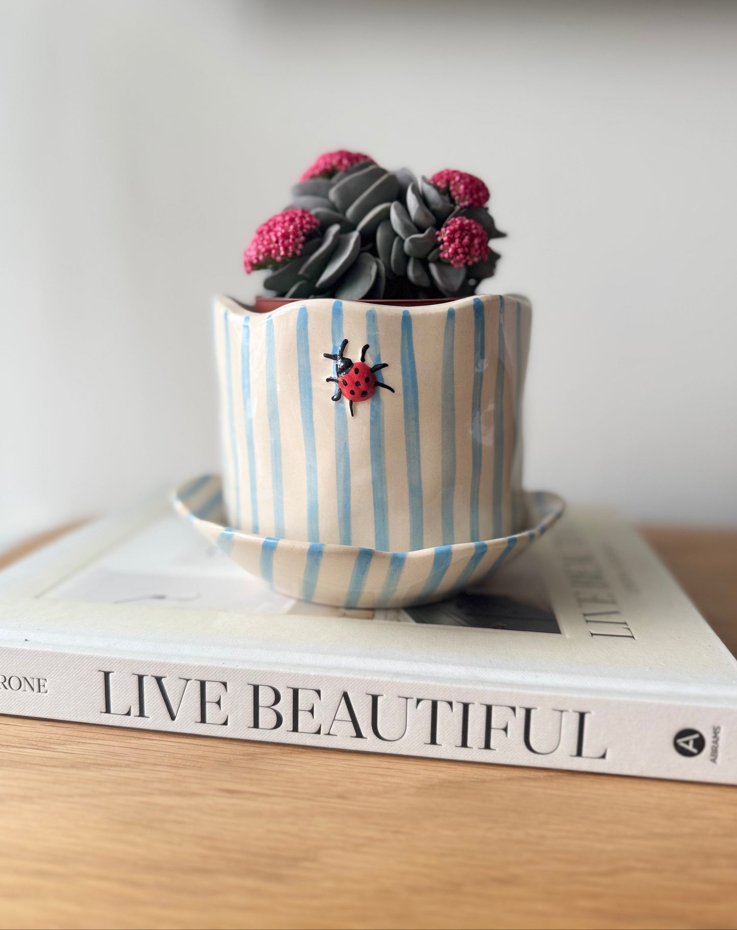 Ladybug Pot with Saucer