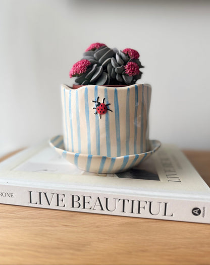 Ladybug Pot with Saucer