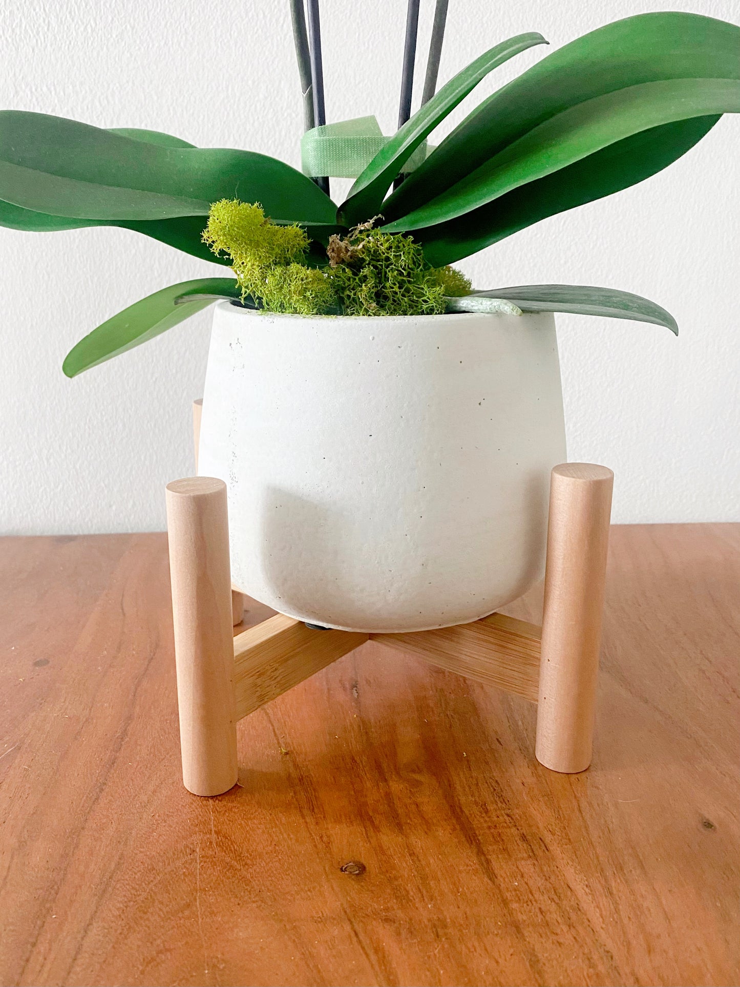 Cement Pot with Wood Stand