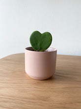 Load image into Gallery viewer, Hoya Heart in Pink Pot
