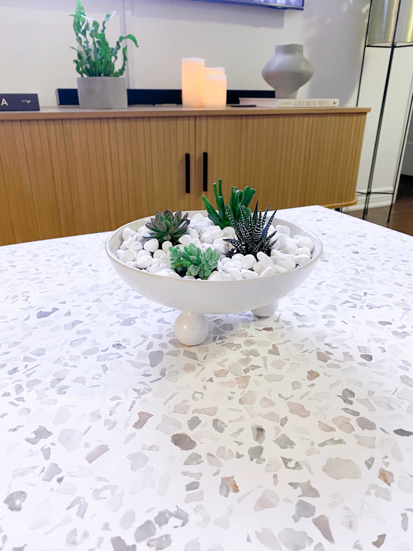 Succulents in Farley Bowl