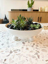 Load image into Gallery viewer, Succulents in Farley Bowl
