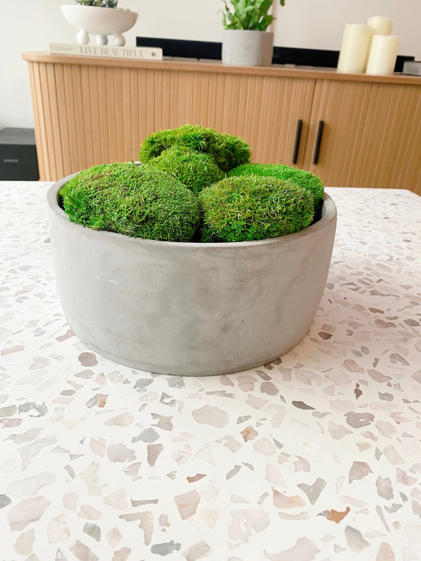 Preserved Moss Bowl in Concrete Pot