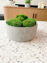 Load image into Gallery viewer, Preserved Moss Bowl in Concrete Pot

