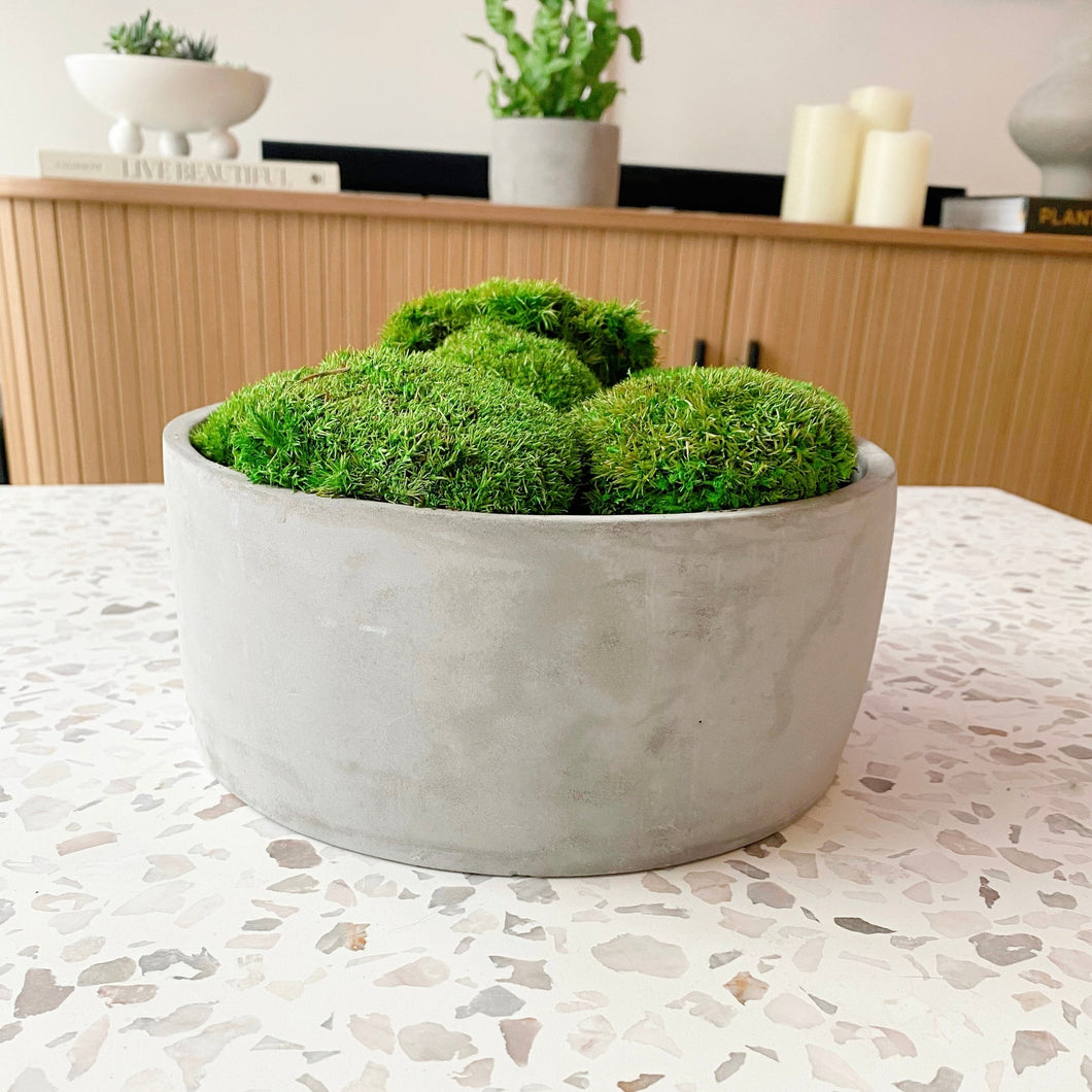 Preserved Moss Bowl in Concrete Pot