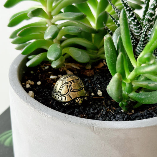 Mini Brass Vintage Tortoise