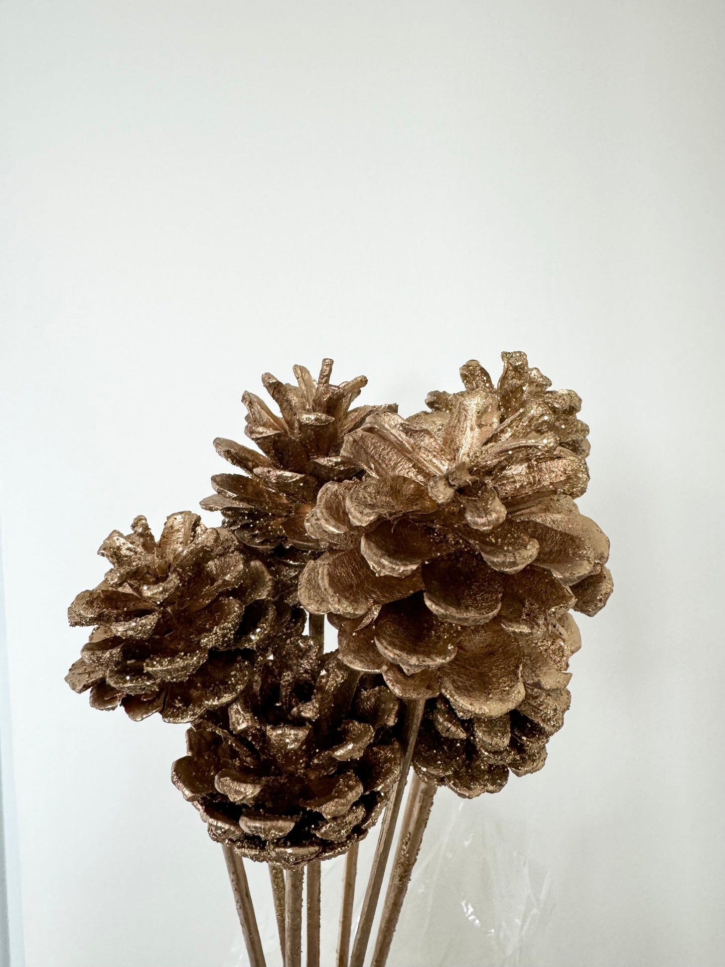 Gold Pinecones on Stem