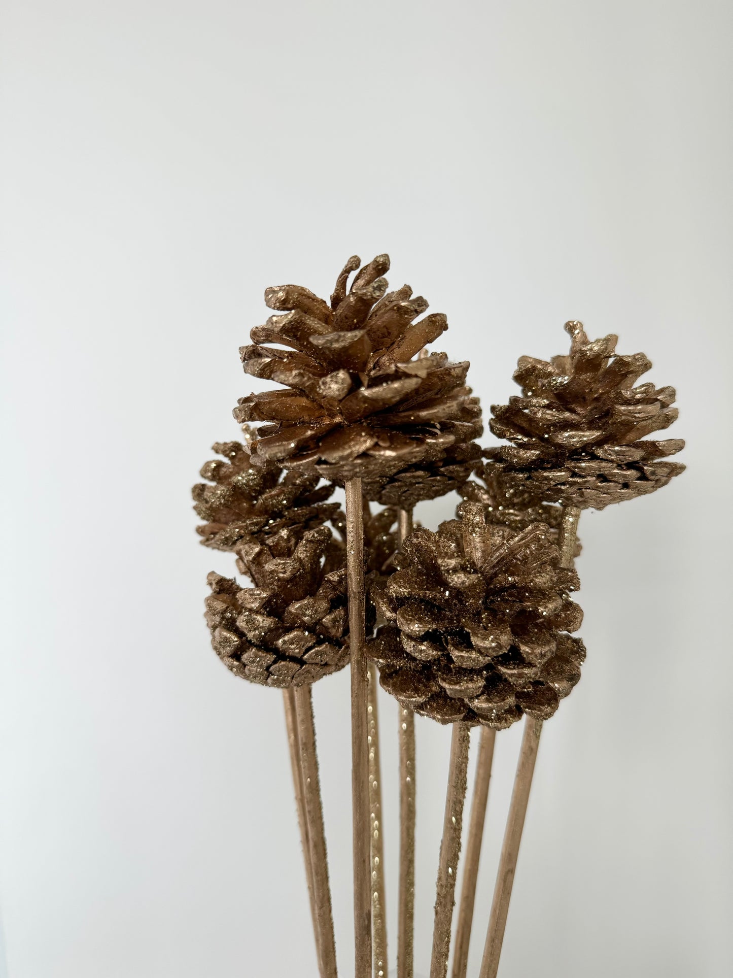 Gold Pinecones on Stem
