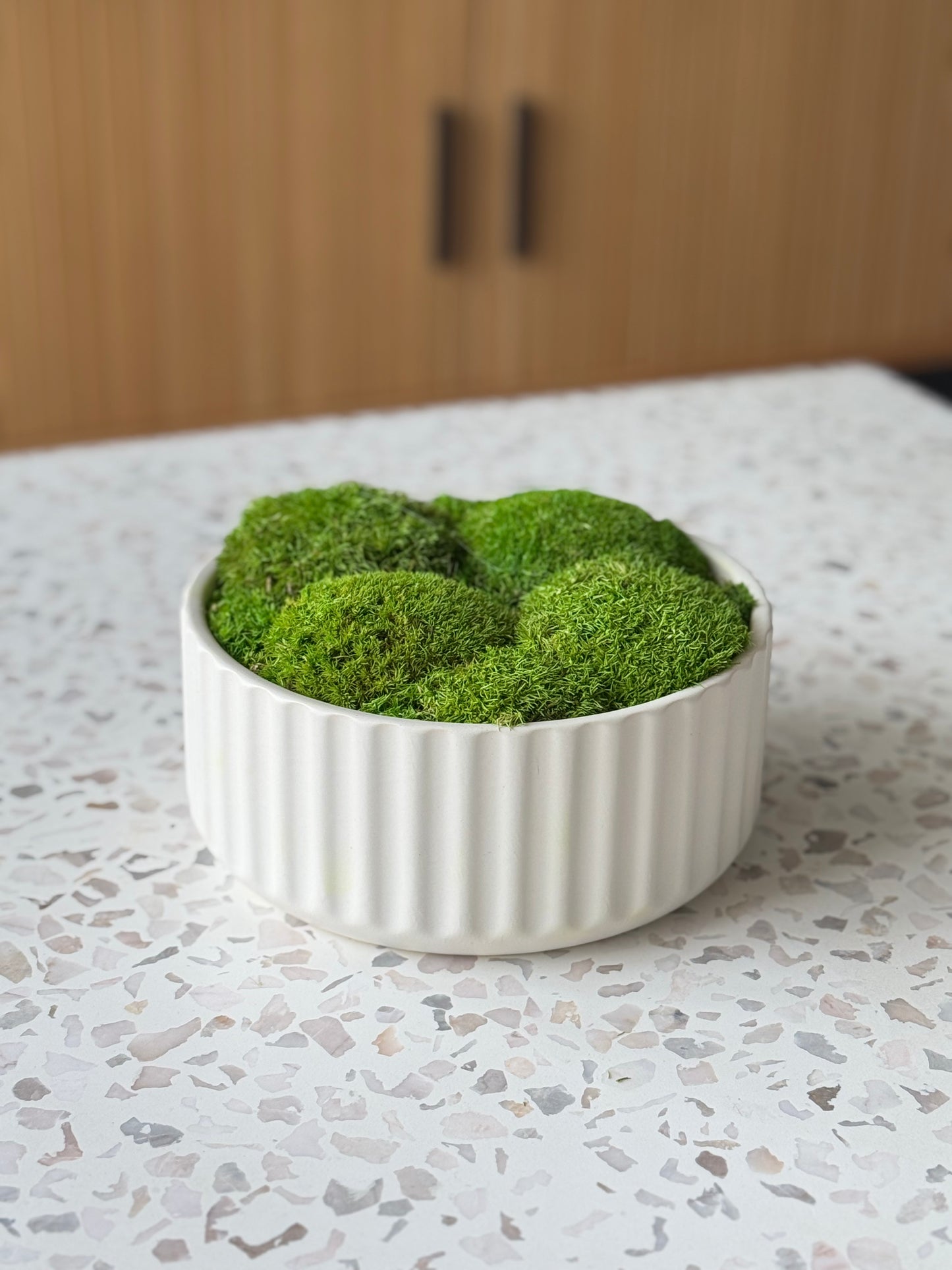 Beam Moss Bowl