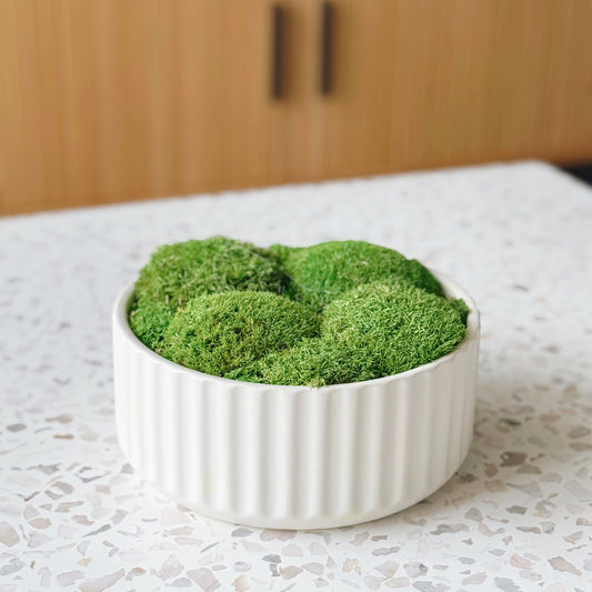 Beam Moss Bowl