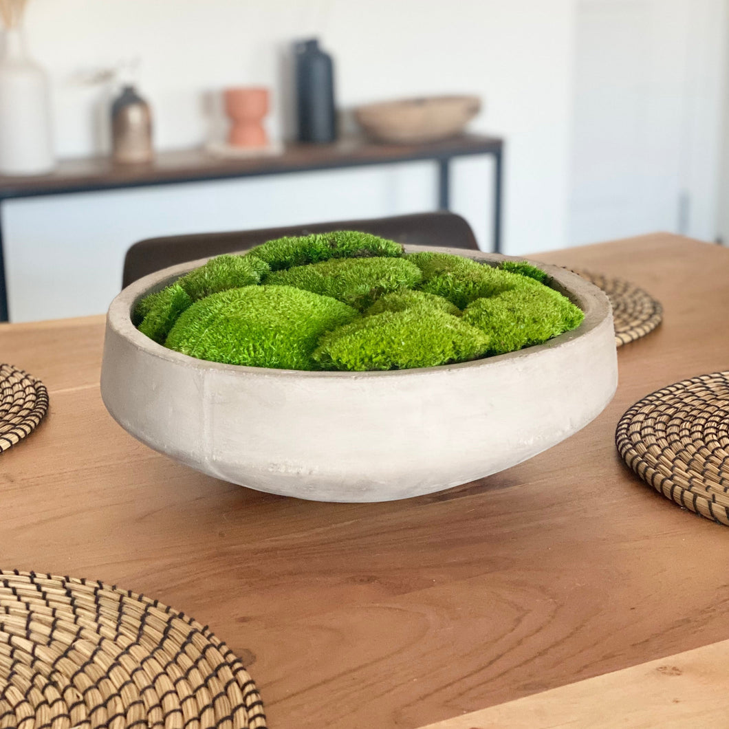 Preserved Moss in Concrete Bowl | Moss Bowl Centrepiece