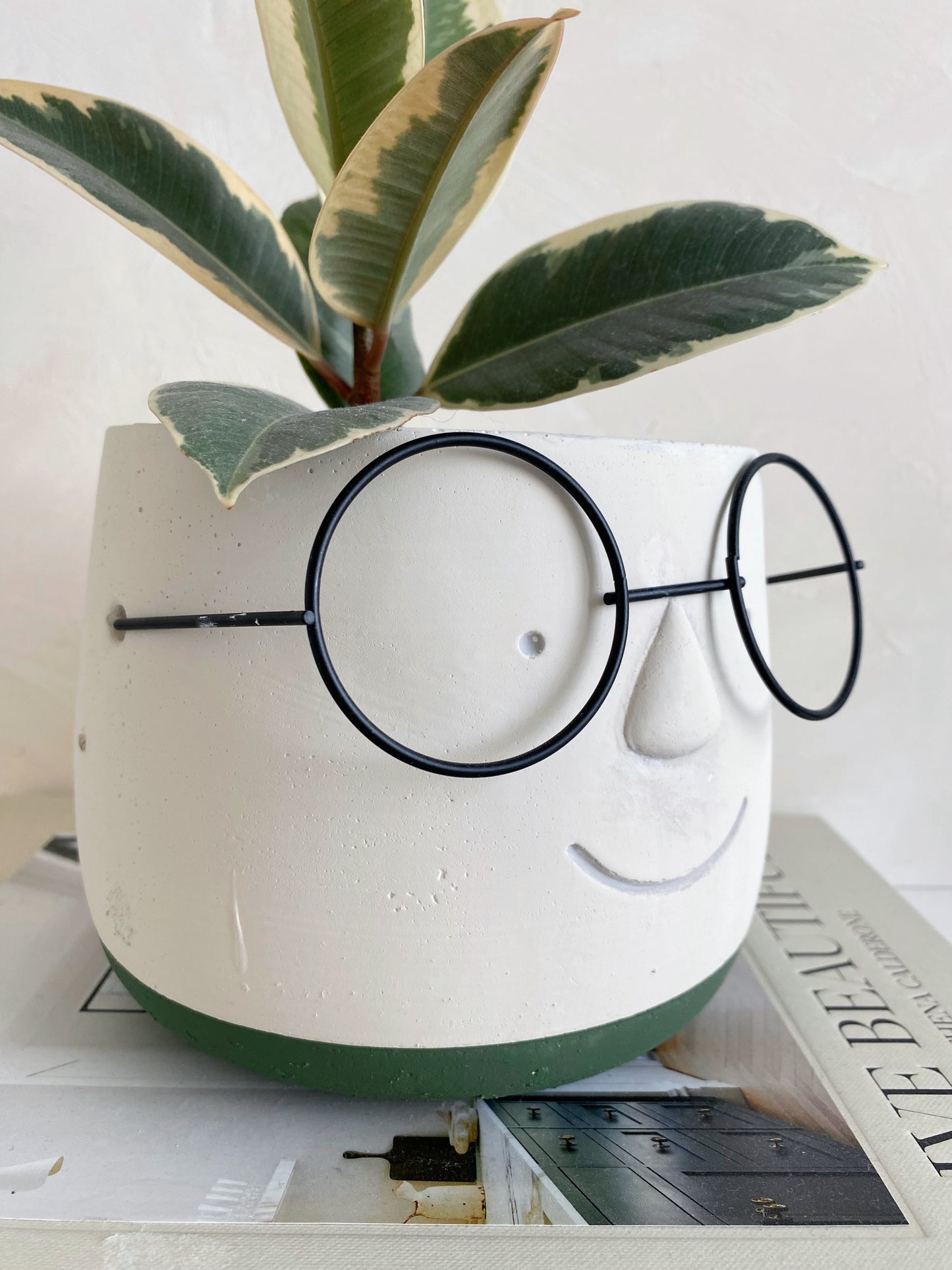 Cute Face with Glasses Plant Pot