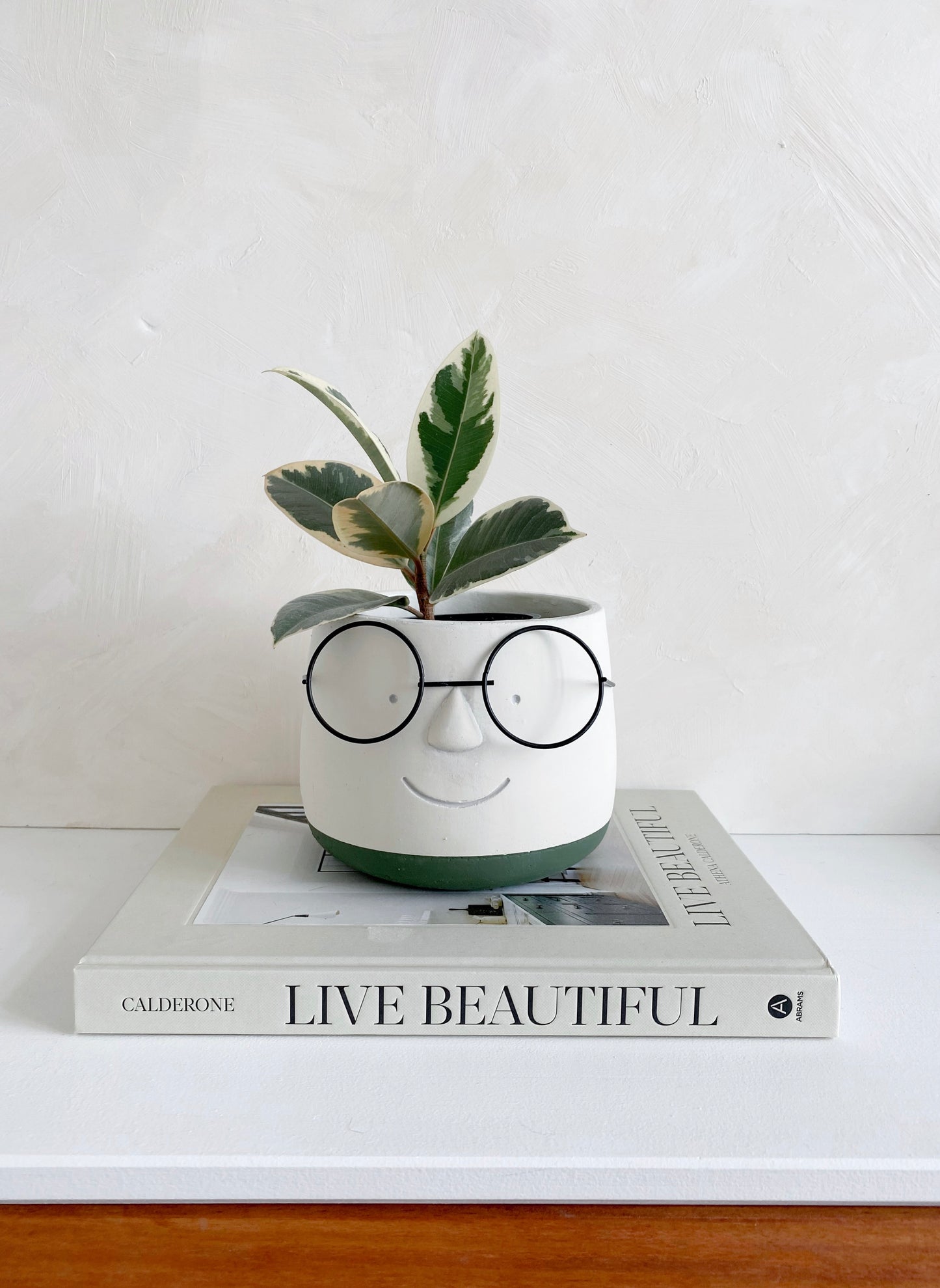 Cute Face with Glasses Plant Pot