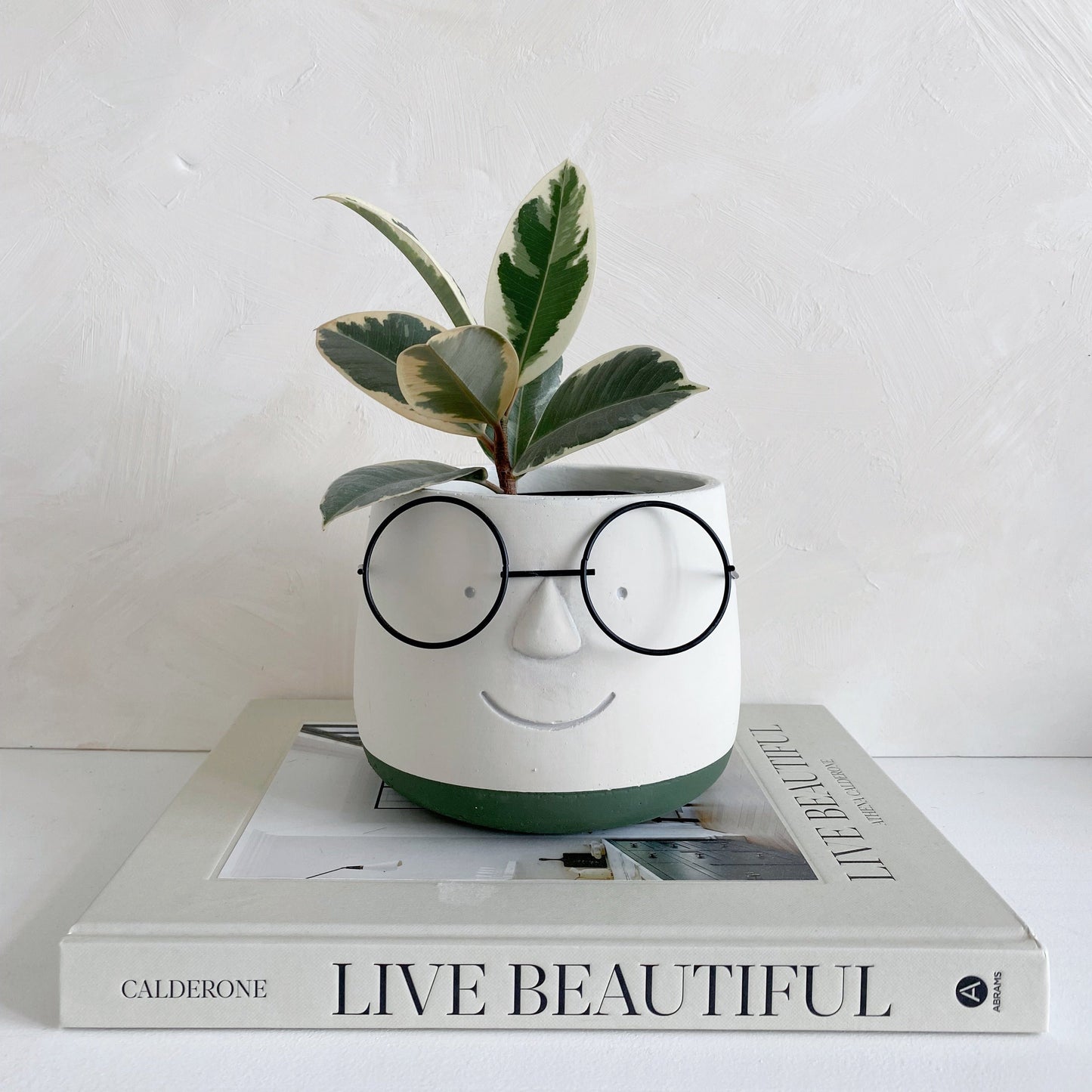 Cute Face with Glasses Plant Pot