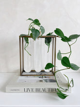 Load image into Gallery viewer, Tube Vase with Gold Rack | Large Propagation Station
