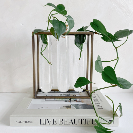 Tube Vase with Gold Rack | Large Propagation Station