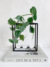 Load image into Gallery viewer, Glass Tube Vase in Black Rack | Large Propagation Station

