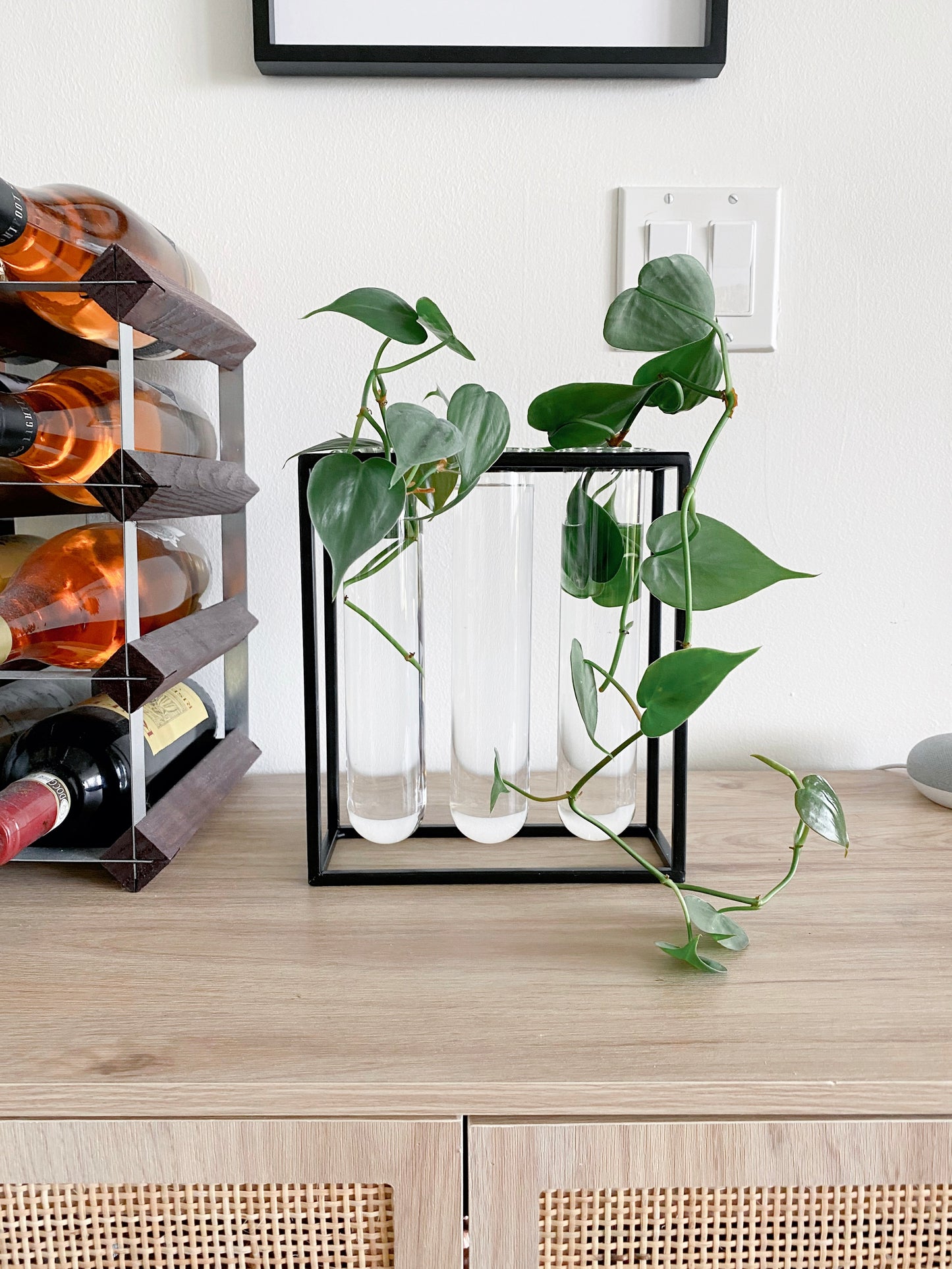 Glass Tube Vase in Black Rack | Large Propagation Station