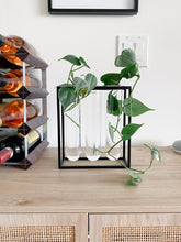 Load image into Gallery viewer, Glass Tube Vase in Black Rack | Large Propagation Station
