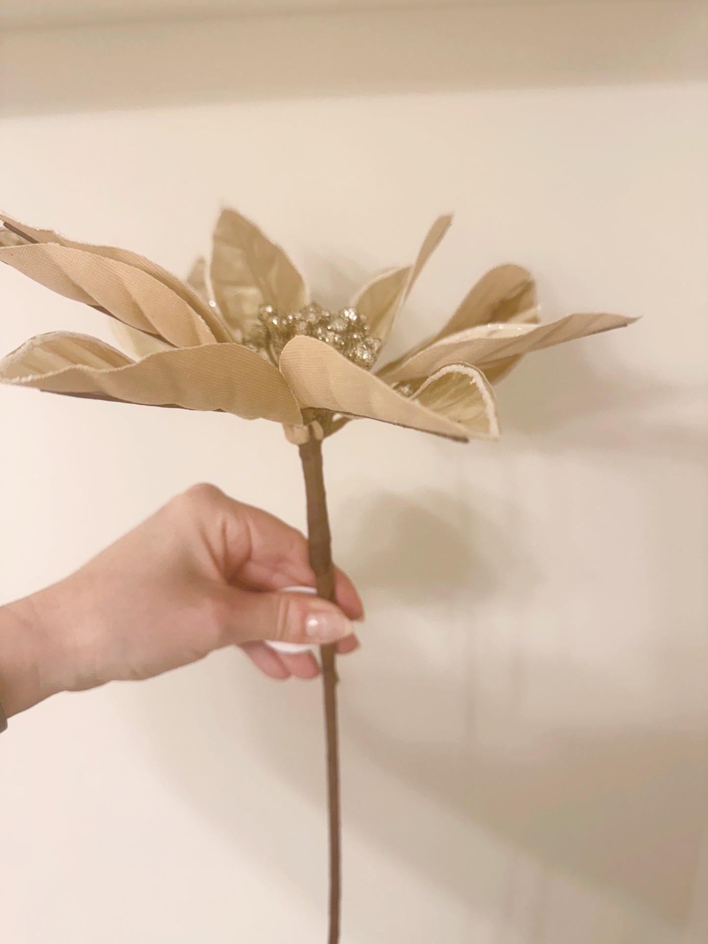 Poinsettia Flower Stem Spray