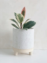 Load image into Gallery viewer, Footed Planter
