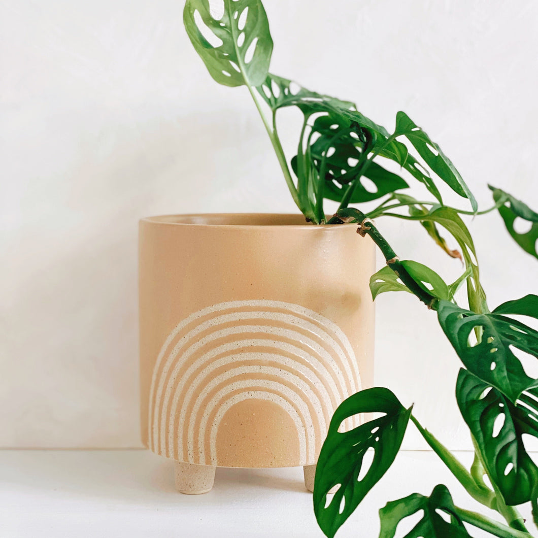Rainbow Embossed Plant Pot