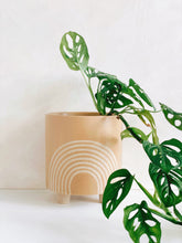 Load image into Gallery viewer, Rainbow Embossed Plant Pot
