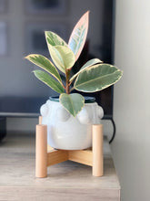 Load image into Gallery viewer, Fem Rosa Pot with Wood Stand
