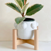 Load image into Gallery viewer, Fem Rosa Pot with Wood Stand
