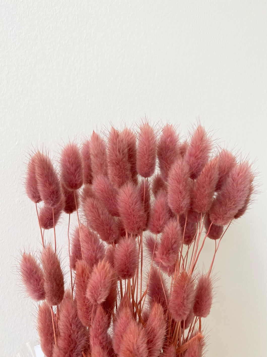 Bunny Tails - Dusty Rose