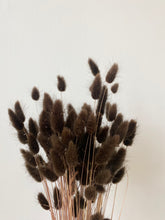 Load image into Gallery viewer, Dark Brown Bunny Tails | Dried Lagurus
