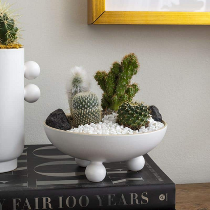 Farley Bowl