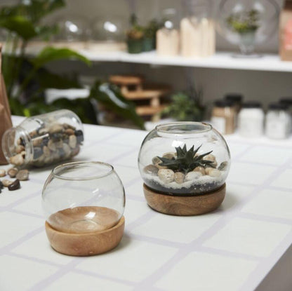 Full View Terrarium
