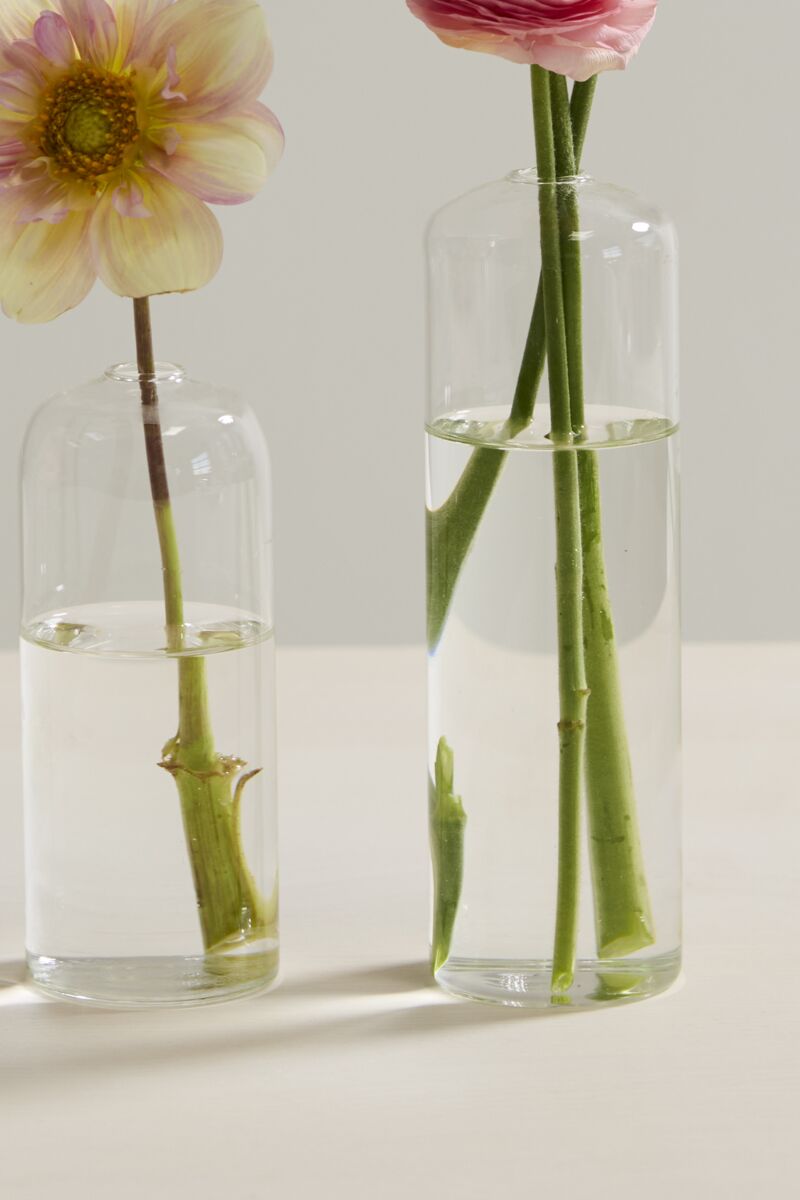 Highball Glass Bud Vases