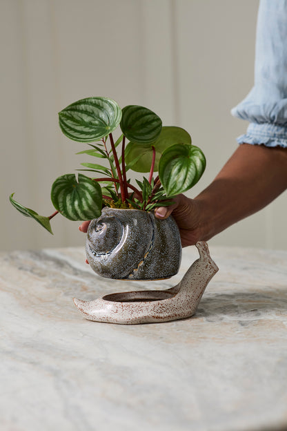 Snail Pot with Saucer