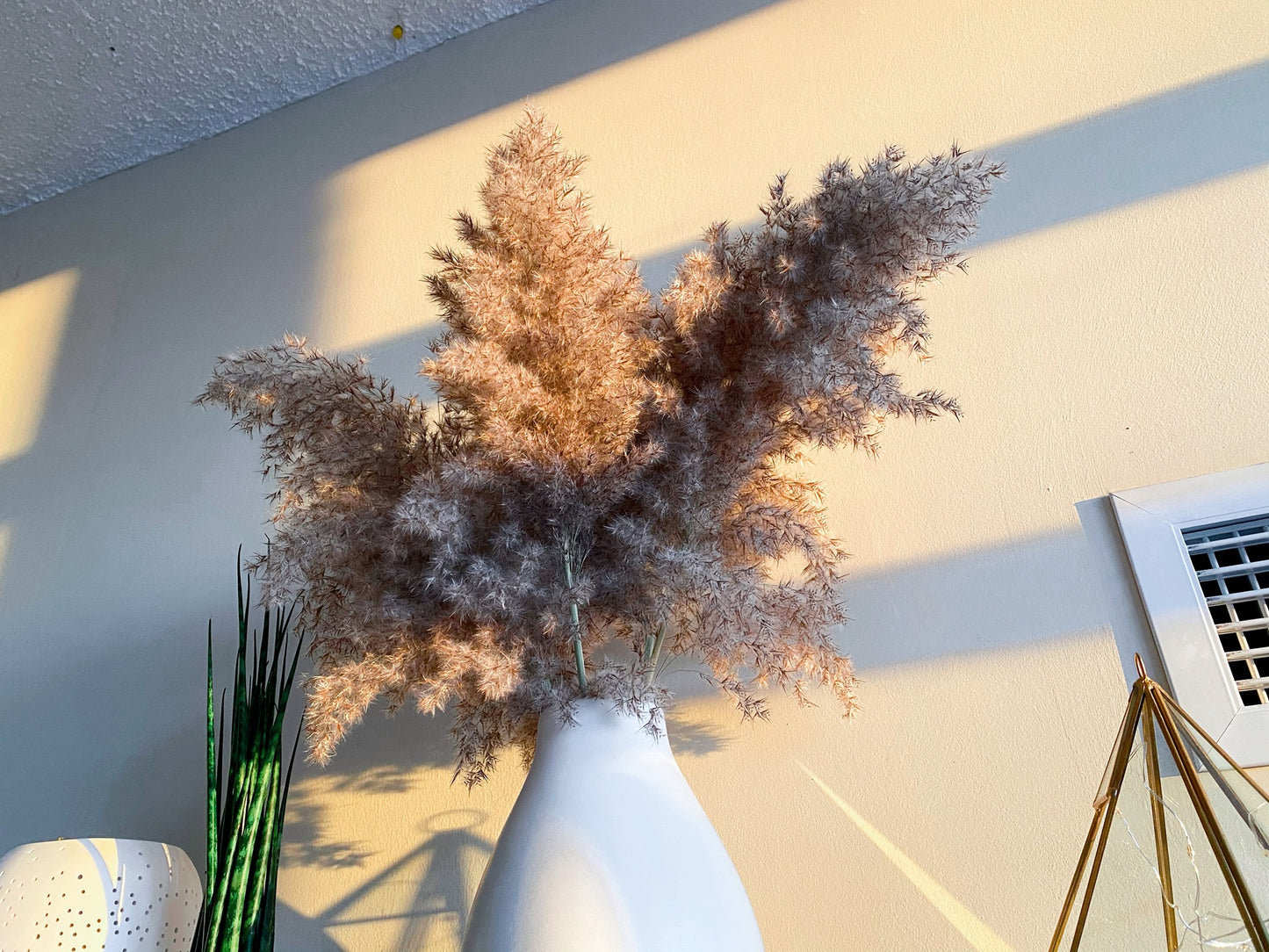 Natural Brown Pampas Grass