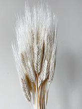 Load image into Gallery viewer, Large Dried Wheat Stalks
