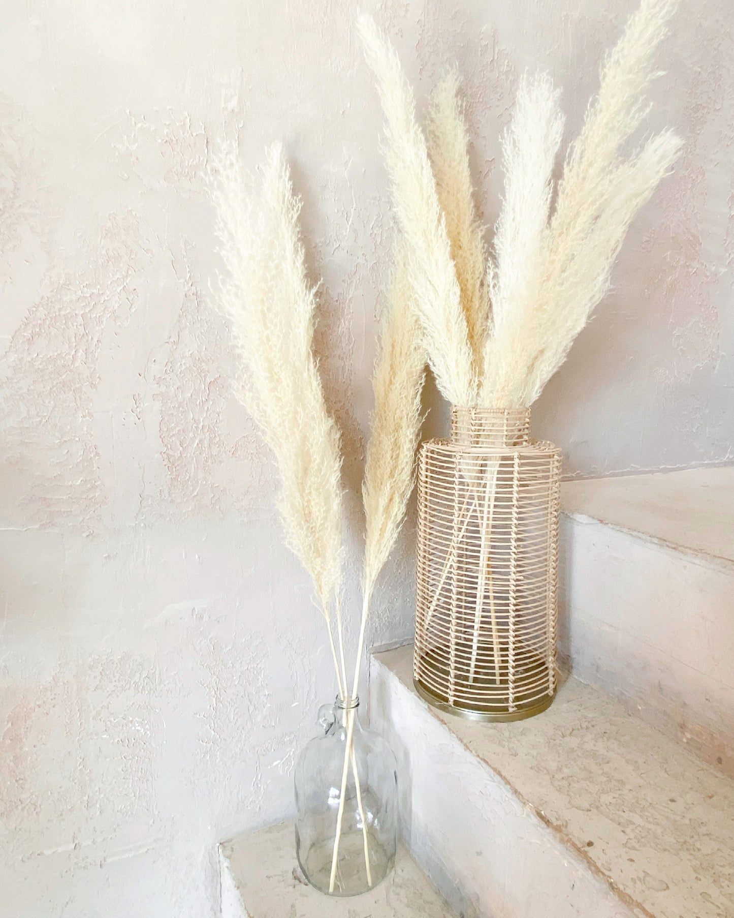 Pampas Grass