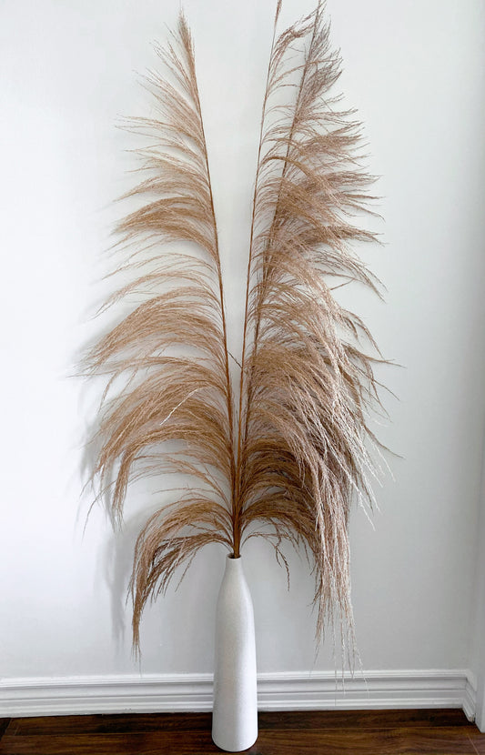 UVA Stalks 3 stems | Amazon Tall Pampas Grass