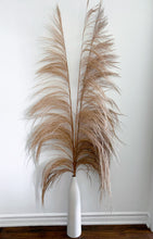 Load image into Gallery viewer, UVA Stalks 3 stems | Amazon Tall Pampas Grass

