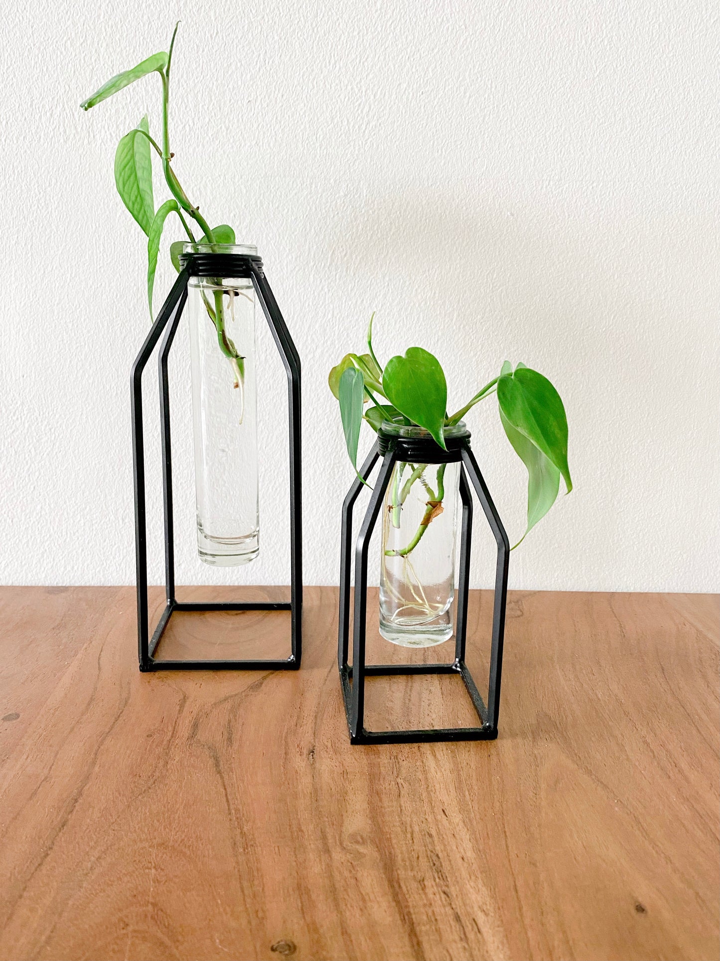 Propagation Vase - Glass Tube Bud Vase
