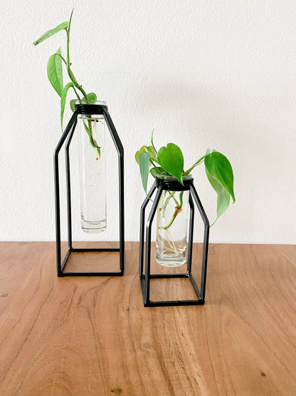 Propagation Vase - Glass Tube Bud Vase