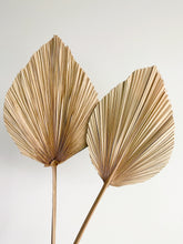 Load image into Gallery viewer, Dried Anahaw Leaves | Dried Palm Leaves
