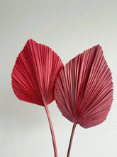 Load image into Gallery viewer, Dried Anahaw Leaves | Dried Palm Leaves

