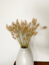 Load image into Gallery viewer, Dried Bunny Tails | Dried Lagurus
