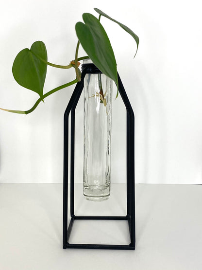 Propagation Vase - Glass Tube Bud Vase