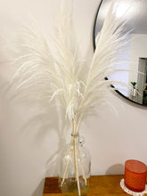 Load image into Gallery viewer, White Pampas Grass (Italy) 5 Stem Bundle
