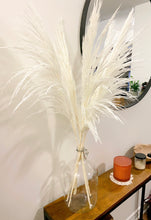 Load image into Gallery viewer, White Pampas Grass (Italy) 5 Stem Bundle
