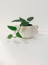 Load image into Gallery viewer, Lizzie Pot
